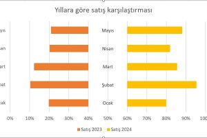 excel kelebek chart