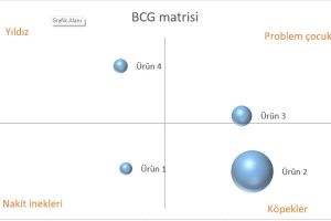 excel'de bcg matrisi