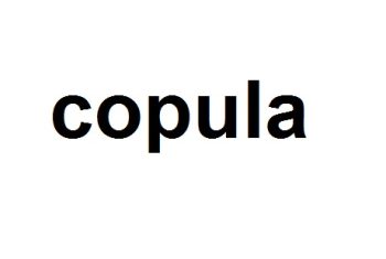 copular verb