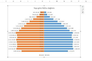 excel nüfus piramit grafiği