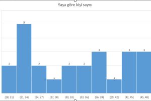 excel histogram grafiği