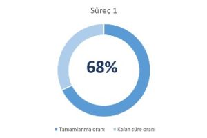 excel halka grafik