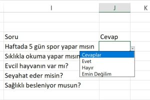 1 excel açılır liste