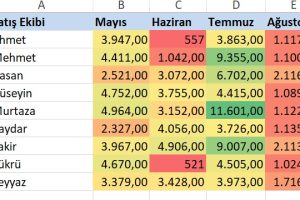 1-excel ısı haritası