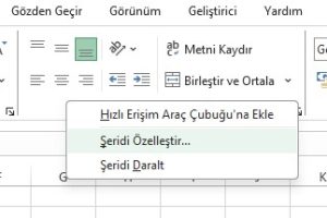 1-excel şeridi özelleştirme