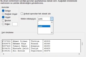 excel metni sütunlara dönüştür