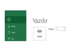 excel yazdırma