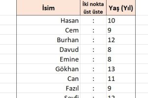 excel iki nokta üst üste hizalama