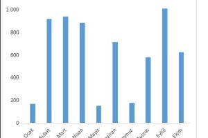 excel seçenek düğmesi