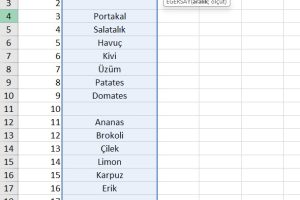 5-excel dolu hücre sayma