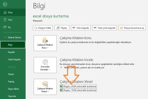 excel dosya kurtarma