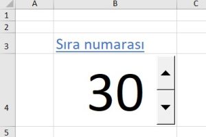 Excel Değer Değiştirme Düğmesi