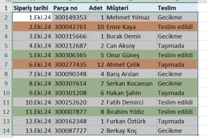 excel satır renklendirme