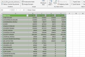 excel webden veri alma