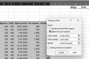 excel gelişmiş filtre