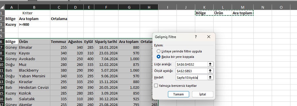 excel gelişmiş filtre