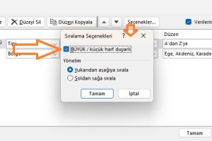 excel özel sıralama