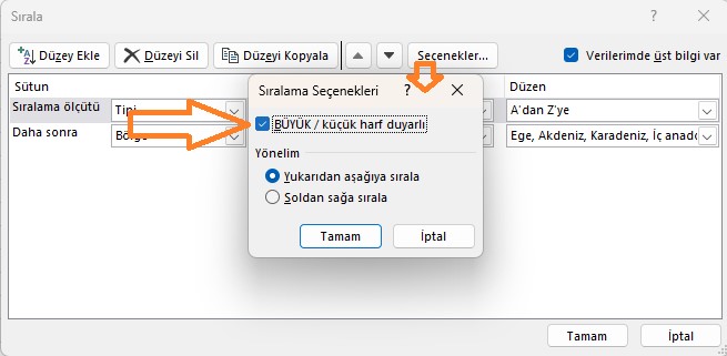 excel özel sıralama