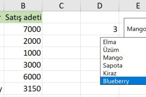 excel combo box açılan liste