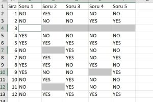 excel boş satırları silme