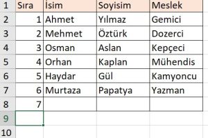 excel veri girdikçe otomatik kenarlık ekleme kısayol