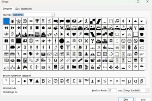 7 excel özel karakterler