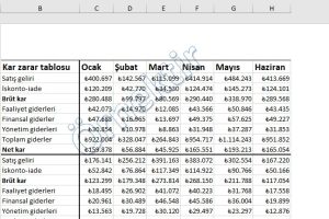 excel filigran