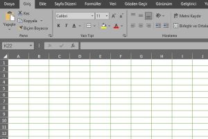 excel kılavuz çizgi rengi