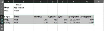 excel gelişmiş filtre