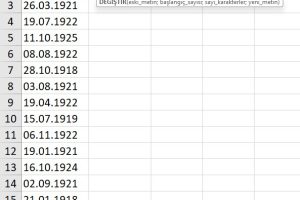 excel yerinekoy formülü